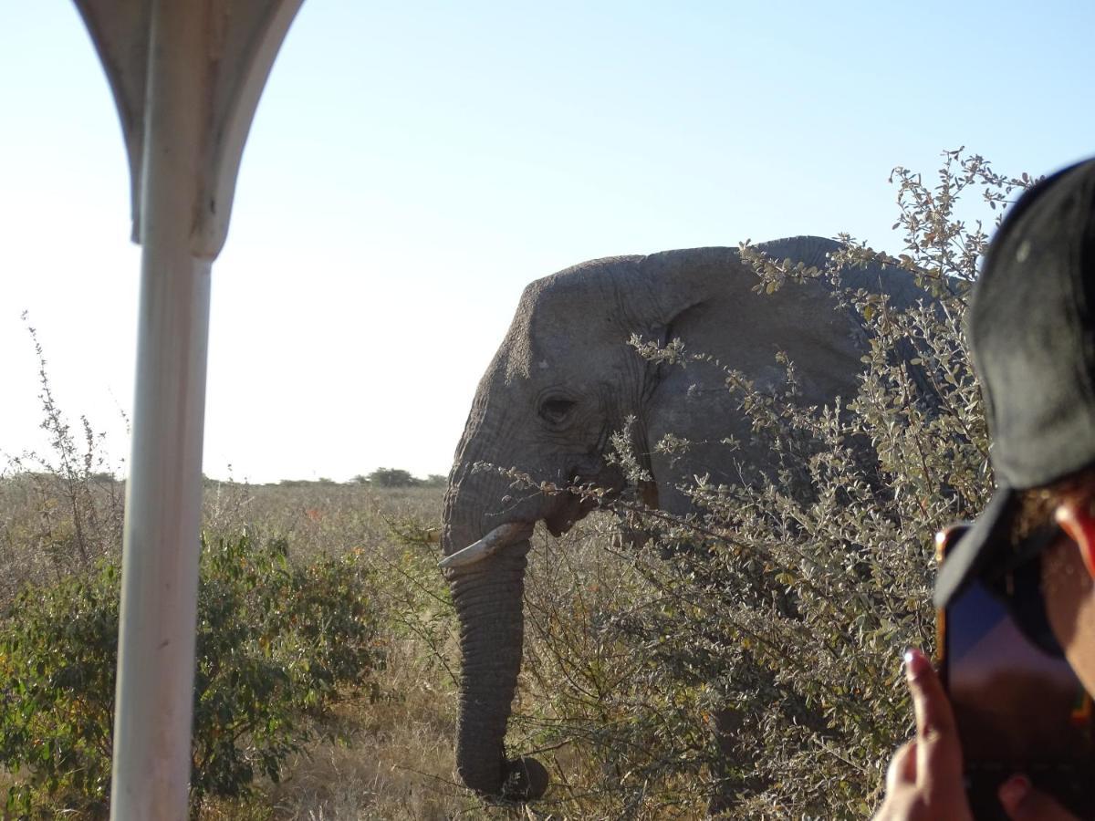 Etosha King Nehale Villa Omuthiya Kültér fotó